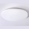 Потолочный светодиодный светильник Ambrella light FZ1223