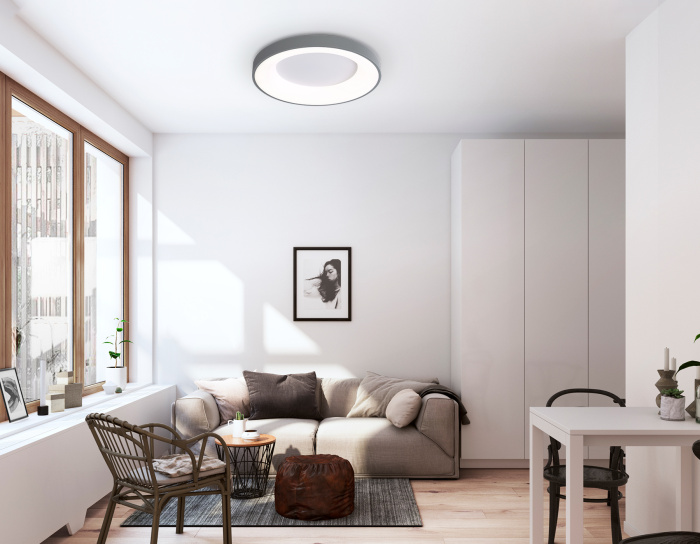 Потолочный светодиодный светильник с пультом Ambrella light FZ1402