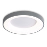 Потолочный светодиодный светильник с пультом Ambrella light FZ1402