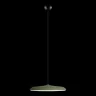 Подвесной светильник Loft it Plato 10119 Green