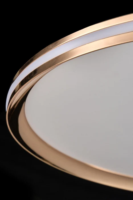 Потолочный светильник Leon Eclipse LE7705/500 Gold