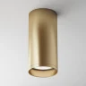 Потолочный светильник Maytoni Focus C010CL-01MG