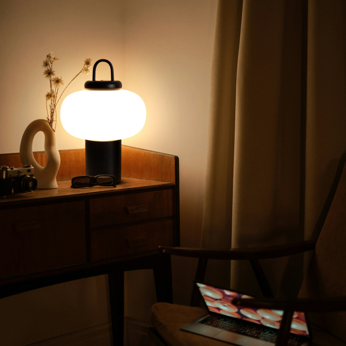 Настольная лампа Freya Take FR6175TL-L10B