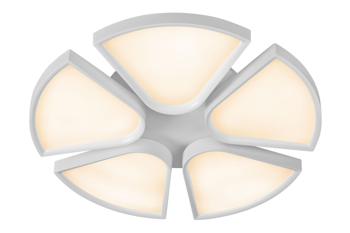 Потолочная люстра iLedex Bling FS-022-X5 120W WH