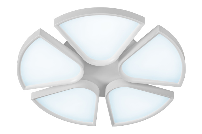 Потолочная люстра iLedex Bling FS-022-X5 120W WH