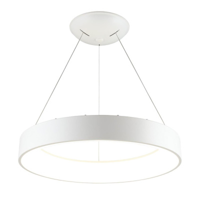 Подвесной светильник Aployt Michell APL.052.03.60