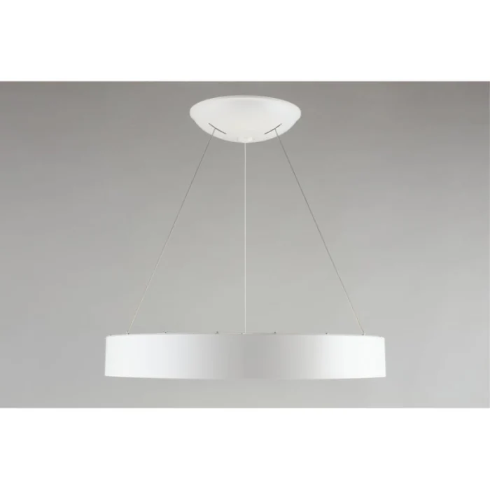 Подвесной светильник Aployt Michell APL.052.03.60