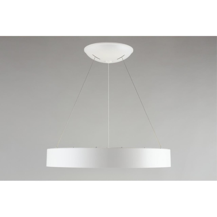 Подвесной светильник Aployt Michell APL.052.03.60