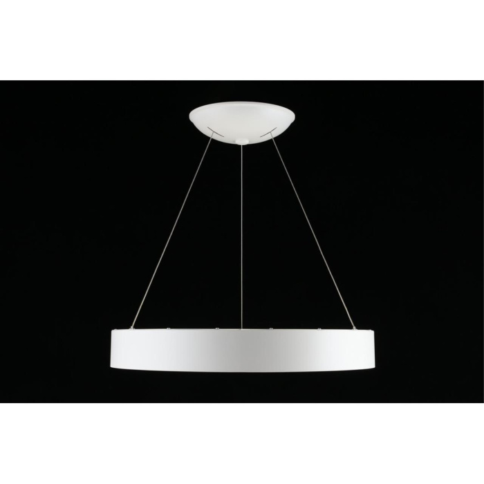 Подвесной светильник Aployt Michell APL.052.03.60