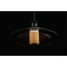 Светильник подвесной Aployt Stefa APL.648.16.10