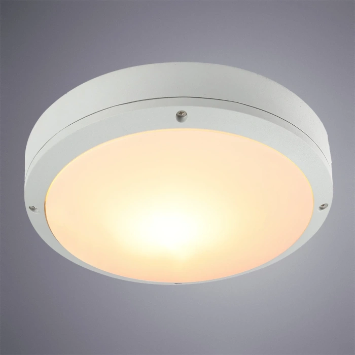 Уличный потолочный светильник Arte Lamp CITY A8154PF-2WH