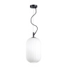 Подвесной светильник Odeon Light Roofi 4751/1