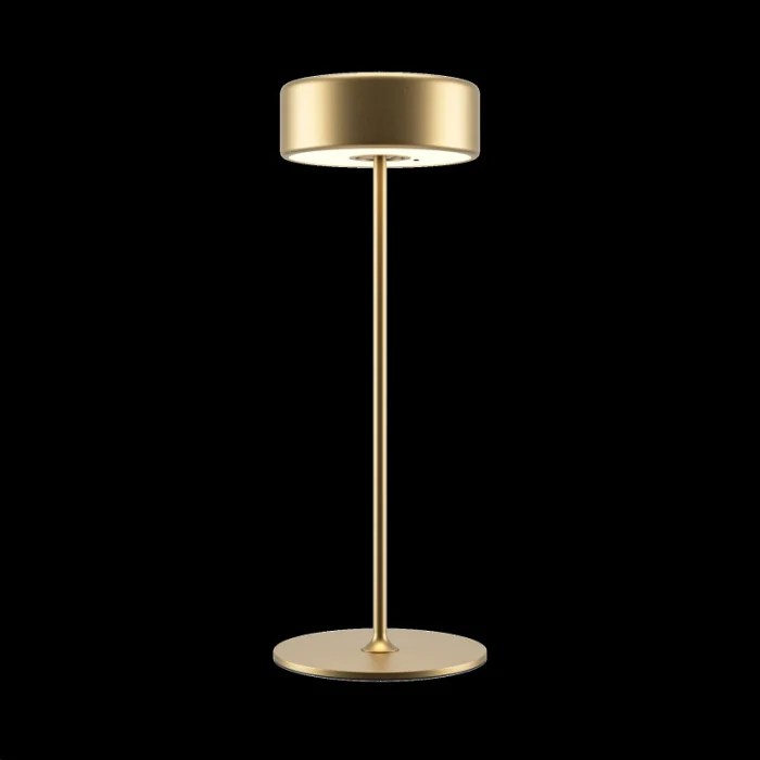 Настольная лампа Maytoni MOD229TL-L3G3K2