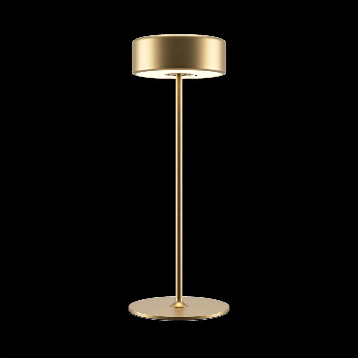 Настольная лампа Maytoni Ai collaboration MOD229TL-L3G3K2