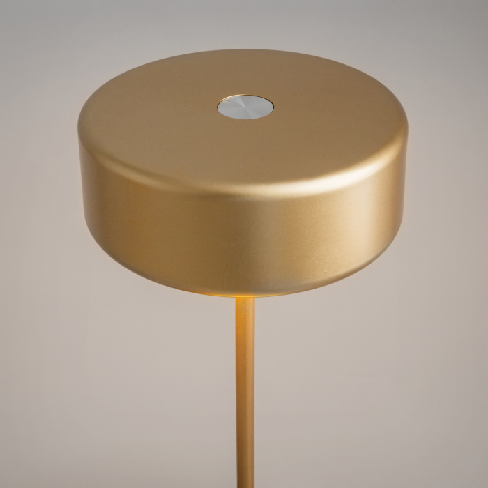 Настольная лампа Maytoni Ai collaboration MOD229TL-L3G3K2