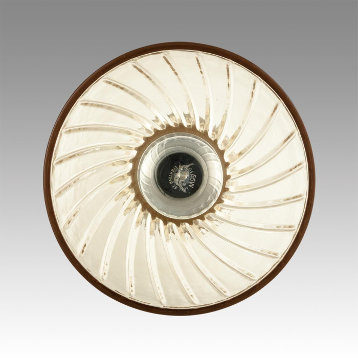 Подвесной светильник Lumion Mirabela 8051/1A