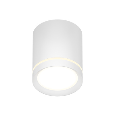 Накладной светильник Denkirs Ribe DK4016-WH