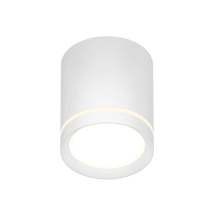 Накладной светильник Denkirs Ribe DK4016-WH