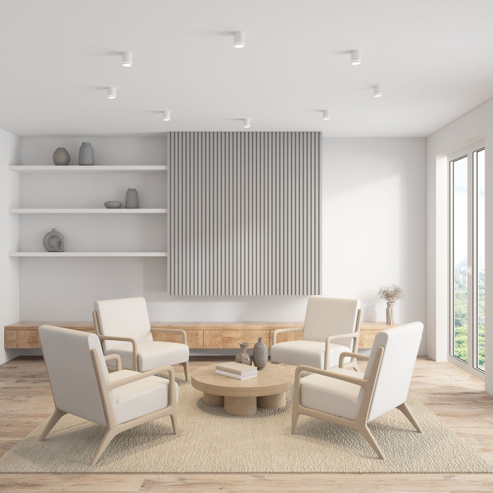 Накладной светильник Denkirs Ribe DK4016-WH