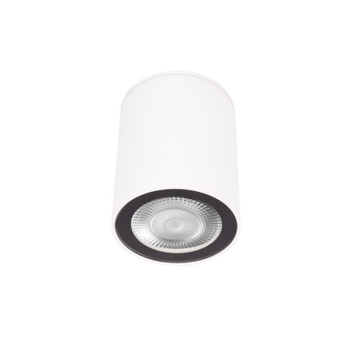 Накладной светильник Loft it Rush 10344 White