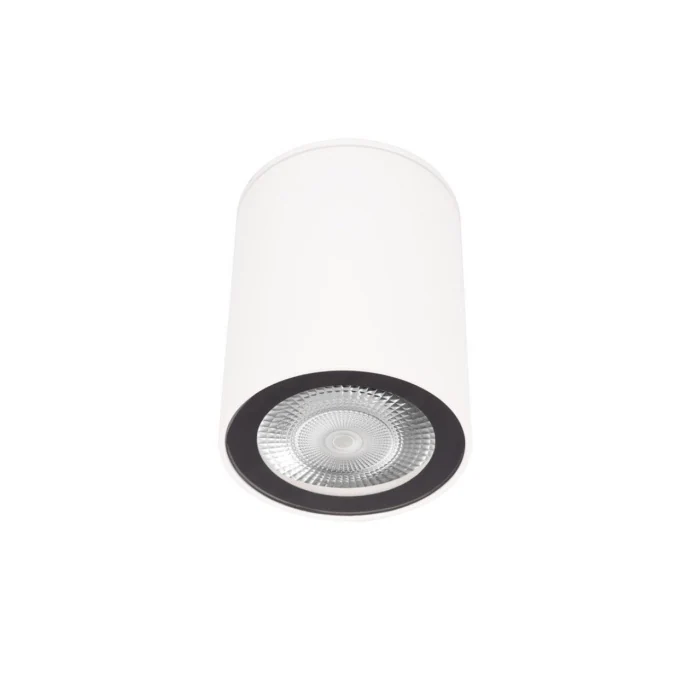 Накладной светильник Loft it Rush 10344 White