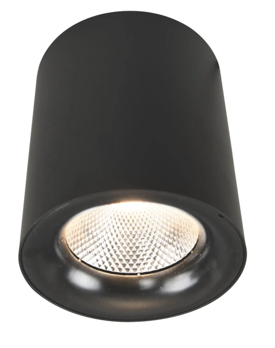 Потолочный светодиодный светильник Arte Lamp Facile A5118PL-1BK
