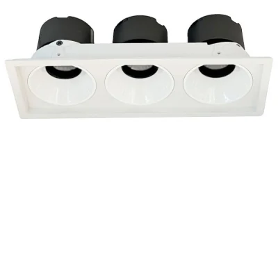 Светильник точечный встраиваемый DORSUM WERTMARK TECHNICAL WTD.O21.000.30.30