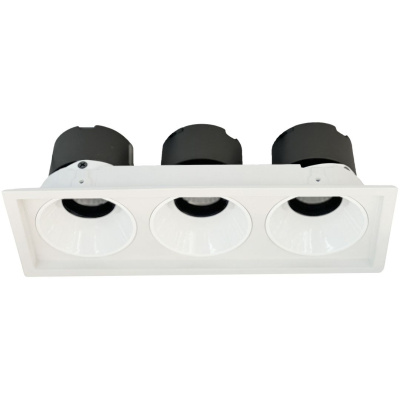 Светильник точечный встраиваемый DORSUM WERTMARK TECHNICAL WTD.O21.000.30.30