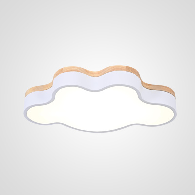 Потолочный светильник CLOUD ECO D50 White ImperiumLoft