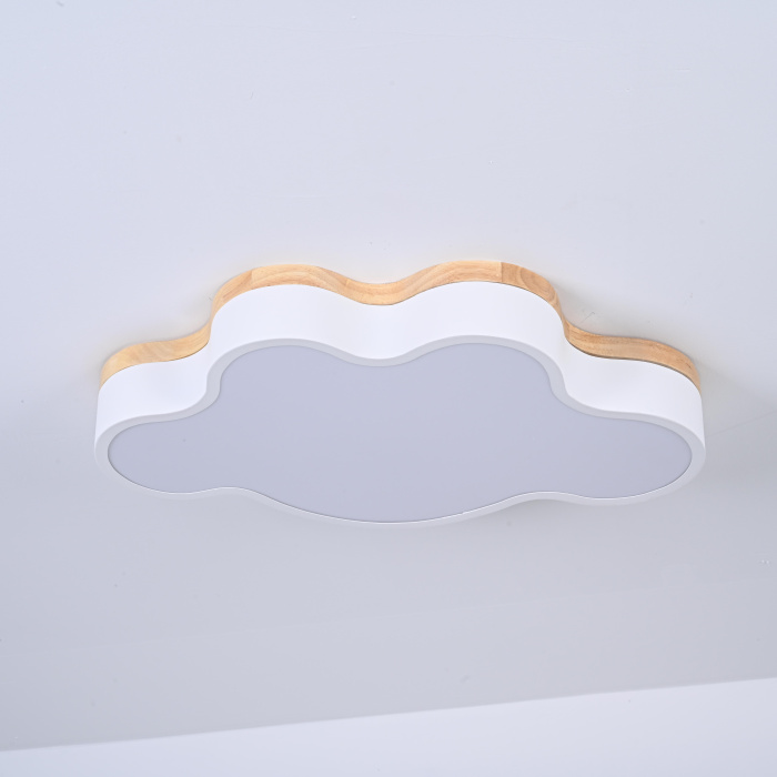 Потолочный светильник CLOUD ECO D50 White ImperiumLoft