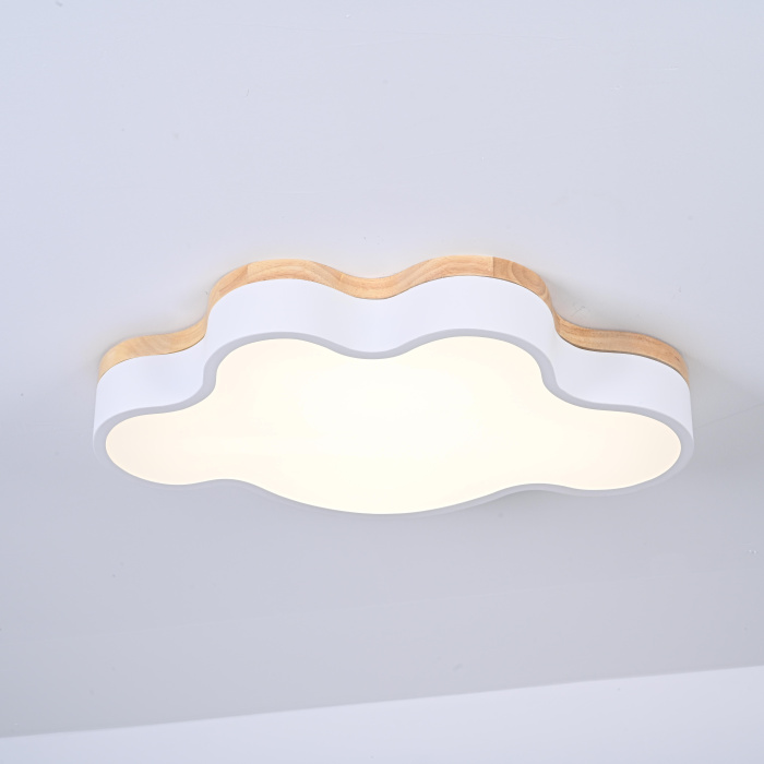 Потолочный светильник CLOUD ECO D50 White ImperiumLoft