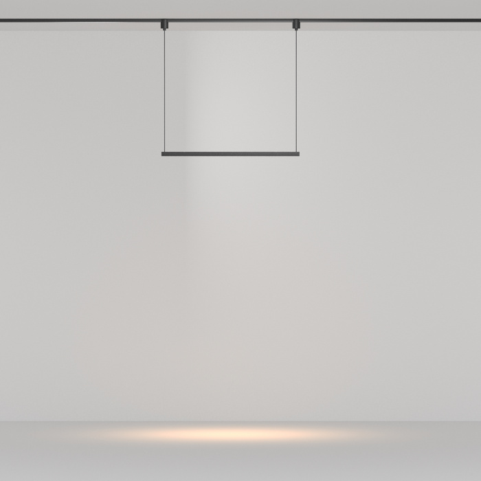 Трековый светильник Maytoni Points TR169-1-26W3K-M-B