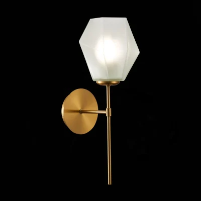 Настенный светильник evoluce TERRAMO SLE205201-01