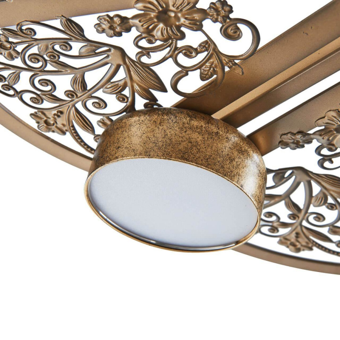 Потолочная светодиодная люстра Favourite Ornamentum 2604-6C