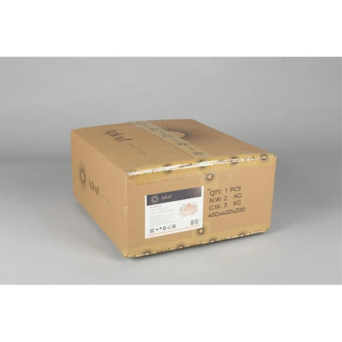 Светильник настенный Aployt Rochell APL.850.01.03