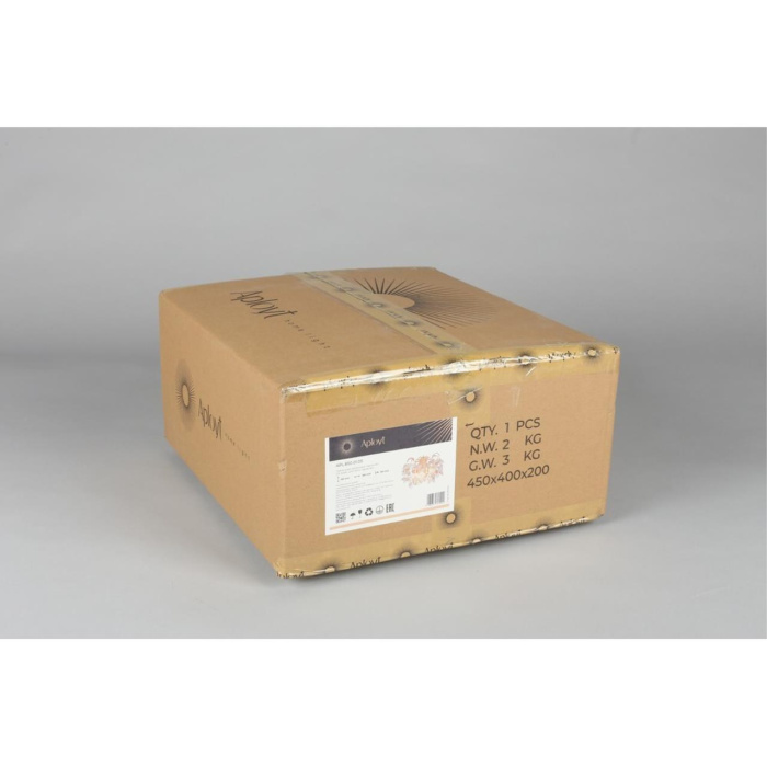 Светильник настенный Aployt Rochell APL.850.01.03