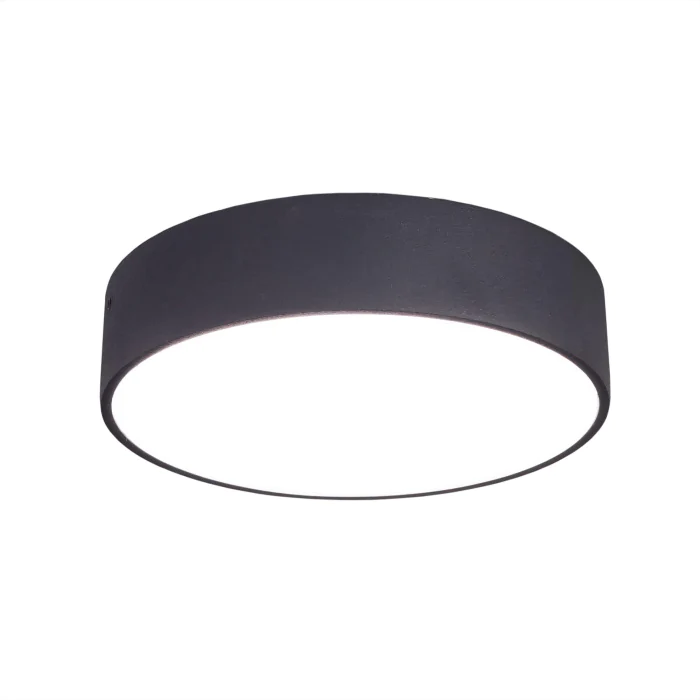 Светильник накладной Citilux Тао CL712182N