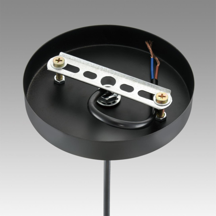 Подвесной светильник LUMION 8052/1A