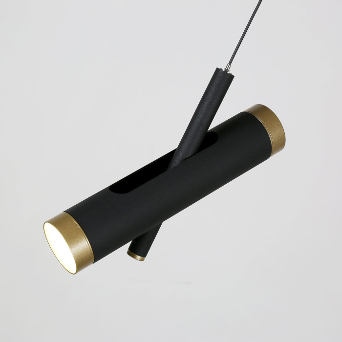 Подвесной светодиодный светильник Favourite Duplex 2324-2P