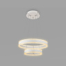 Управляемый подвесной светодиодный светильник Ambrella light FA6175