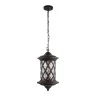 Уличный подвесной светильник Loft it Bergamo 100018P