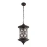 Уличный подвесной светильник Loft it Bergamo 100018P
