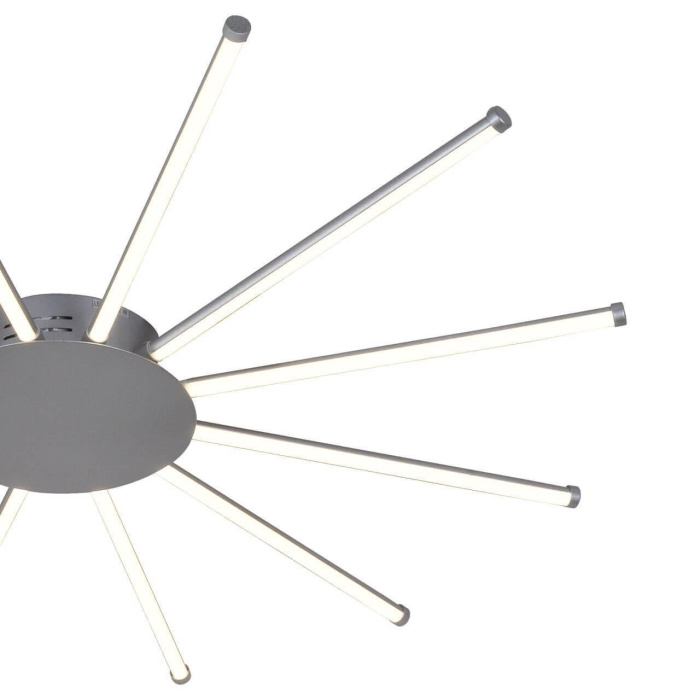 Потолочный светодиодный светильник Favourite Aster 2379-12U