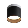 Светильник потолочный ST LUCE ST102.402.09