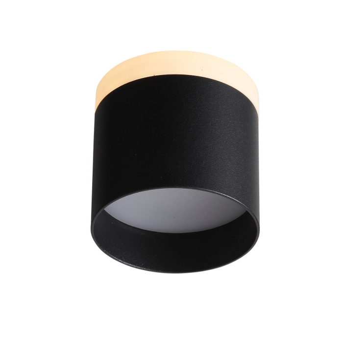 Светильник потолочный ST LUCE ST102.402.09