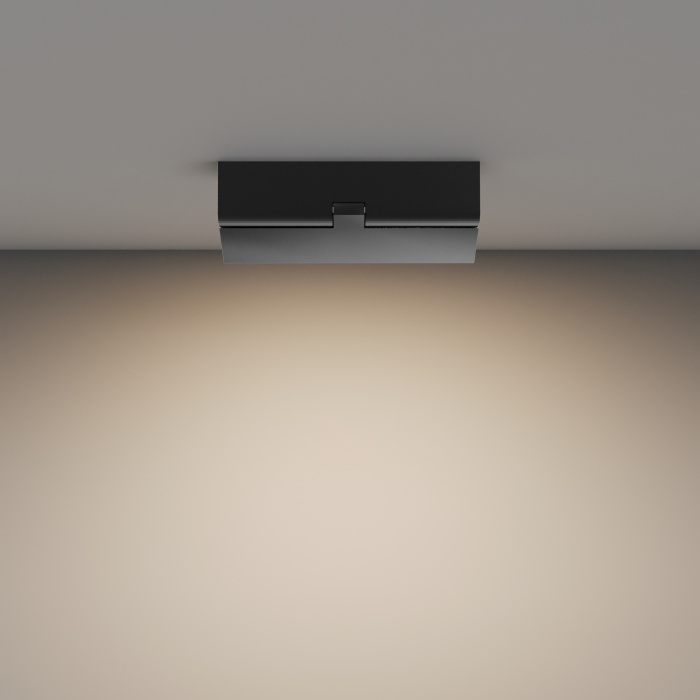 Потолочный светильник Maytoni Basis Rot C133CL-12W3K-B