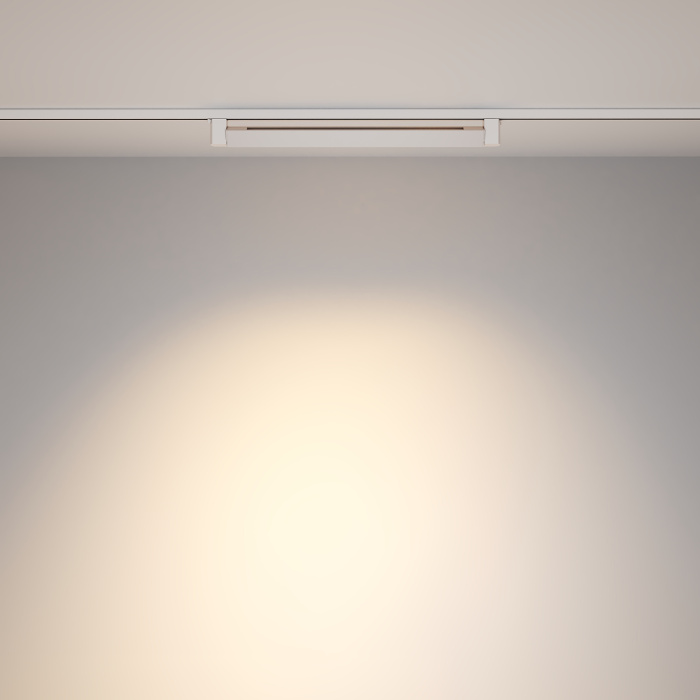 Трековый светильник Maytoni Points Rot TR010-1-20W4K-M-W