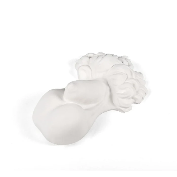 Статуэтка Seletti Memorabilia Mvsevm Penis 10076