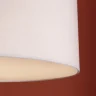 Подвесной светильник Freya Agate FR2052PL-05N