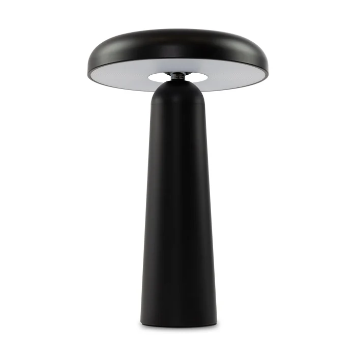 Настольная лампа Freya Mushroom FR6109TL-L4B